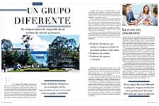 Un grupo diferente  - Real Estate Market & Lifestyle