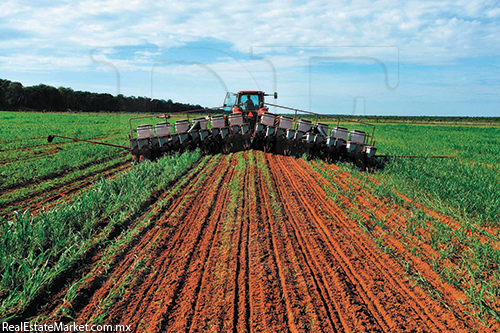 Se importan 3 millones de toneladas de fertilizantes cada año, con un sobreprecio de 85 dls.