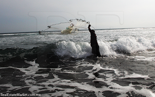 12,000 pescadores dependen de la actividad pesquera en el estado.