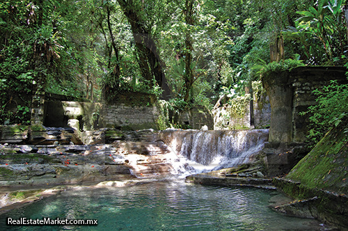 Las Pozas en Xilitla