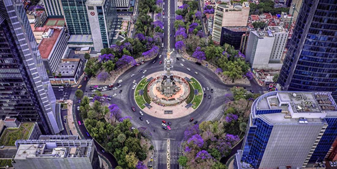 Las Jacarandas 