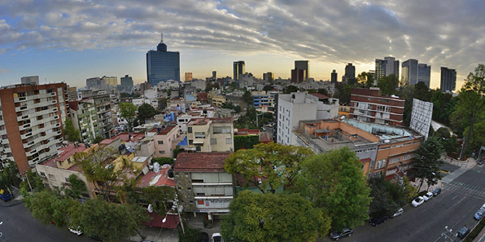 Vivir cerca de la naturaleza: Las colonias de la CDMX con los mejores parques