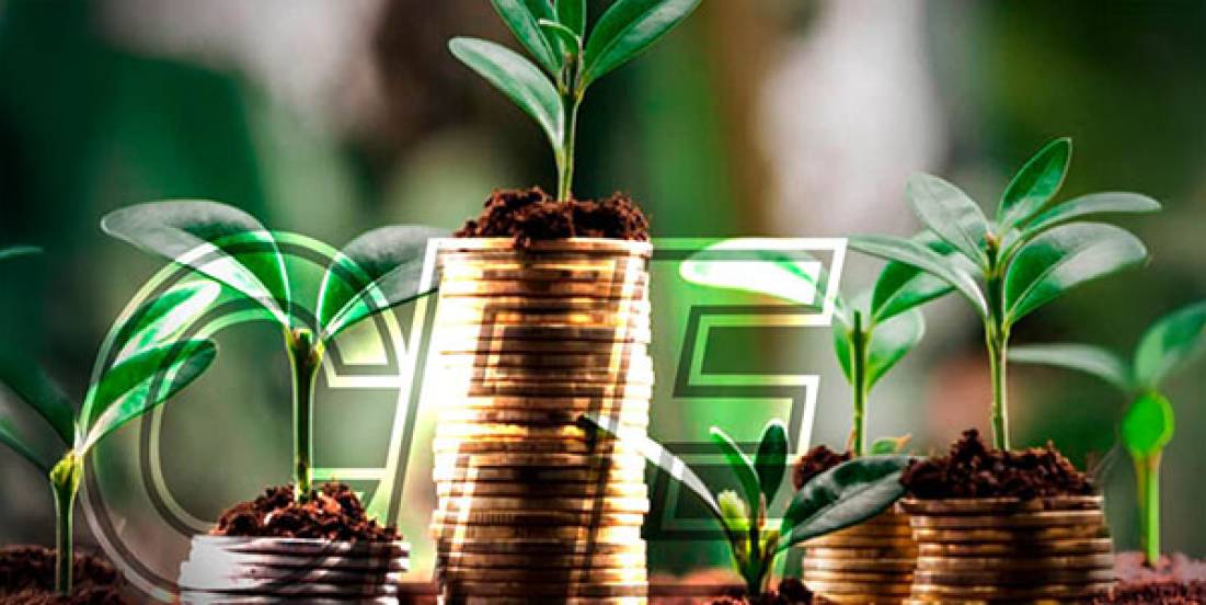 CFE invierte más de 64 mil mdp en proyectos verdes y sociales