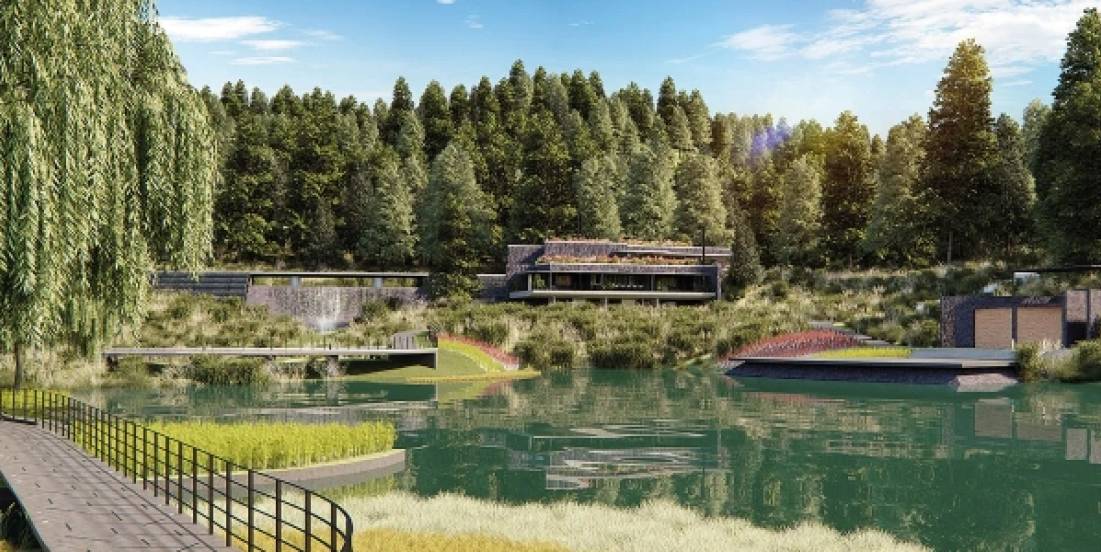 Diseño regenerativo: cuando la arquitectura sana y reconecta con la vida