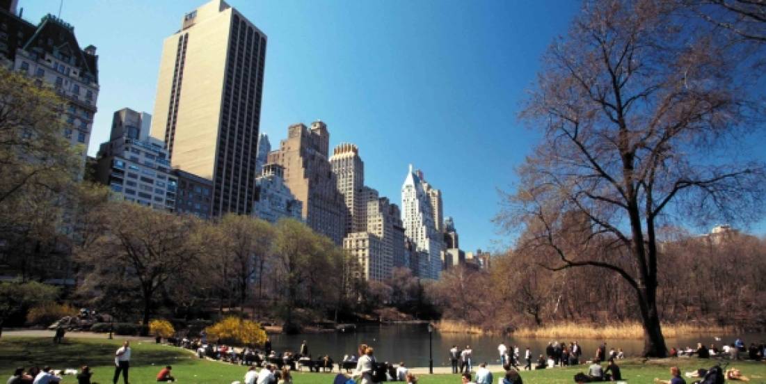 Plan de Bosque Urbano busca transformar áreas verdes en Nueva York