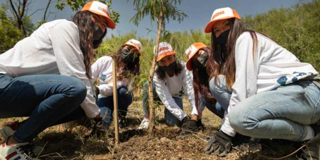 FUNO fortalece su estrategia de sostenibilidad con restauración ambiental